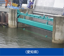 （愛知県）