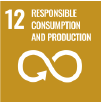 12 Responsible Consumption and Production 