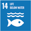 14  Life Below Water