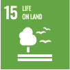 15 Life On Land