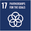 17 Partnerships for the Goals
